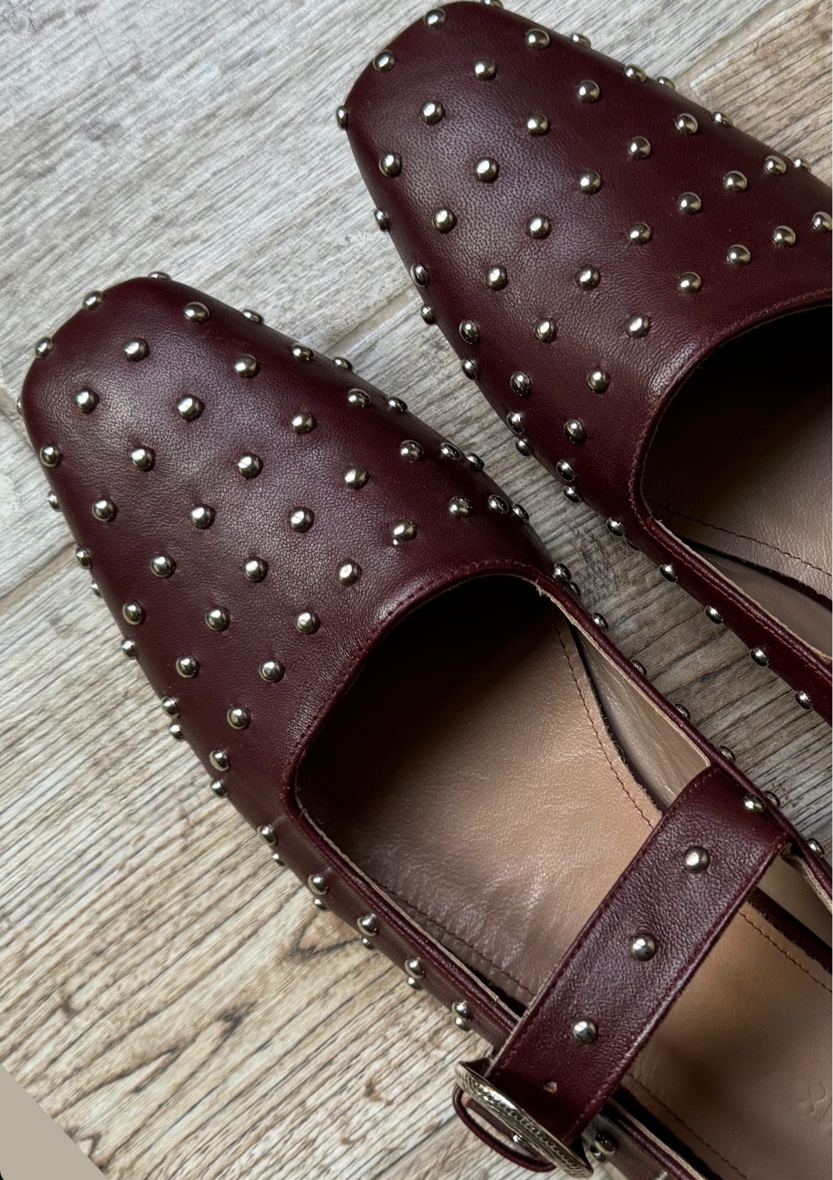 Studded Bay in Burgandy